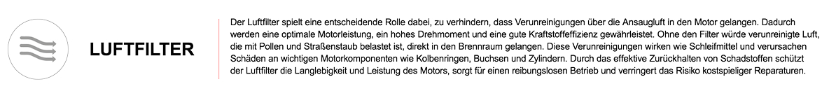 FILTRON Luftfilter AP 139/5