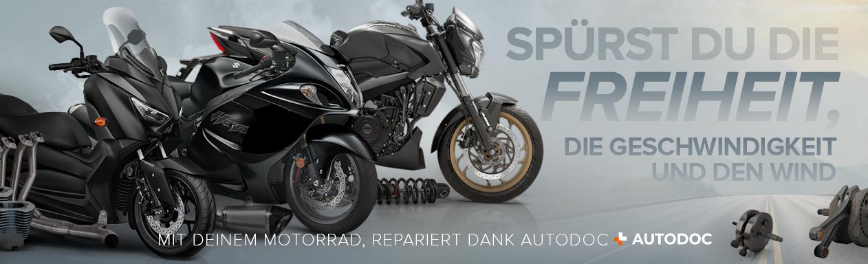 Ersatzteile Und Autoteile Moto Unterstützt Stabilizer Bar Teile Kfz-Teile Und Andere Marken Kompatibel Mit Auto Und Motorrad 3Rg 