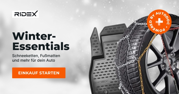 Sonstiges (bitte angeben):