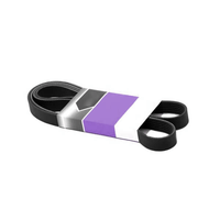 Original GATES Micro-V® Belt Rippenriemen zum einmaligen Sonderpreis