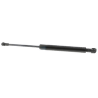 OEM ACKOJA IVECO Tailgate gas struts — guaranteed quality