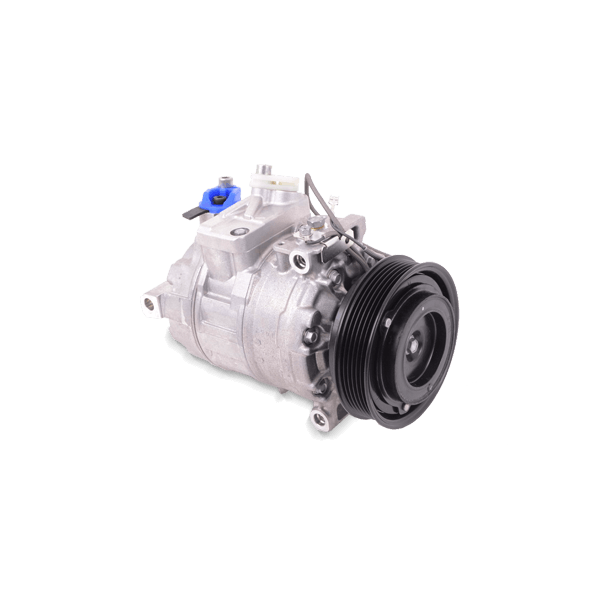 Image of DELPHI Compressore Aria Condizionata RENAULT CS20481 7711497392,8200939386 Compressore Climatizzatore,Compressore Clima,Compressore, Climatizzatore