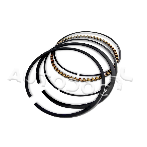 Kolbenringe Jaguar XE X760 Bj 2019 800117810000