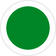 Gummispanner grün