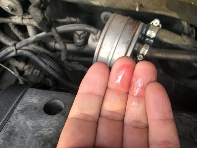 BMW E46 Cooling System Issues