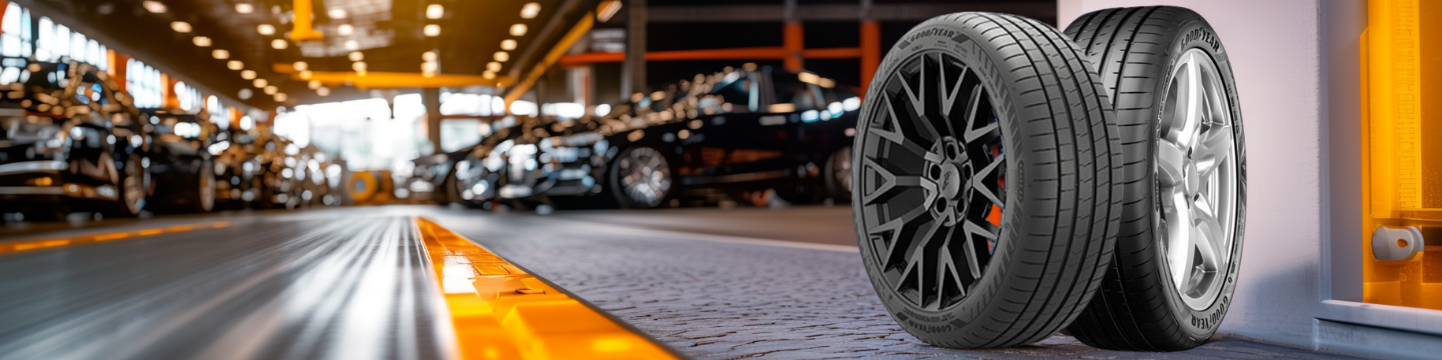 Goodyear Eagle F1 Asymmetric 5 vs Goodyear Eagle F1 Asymmetric 6