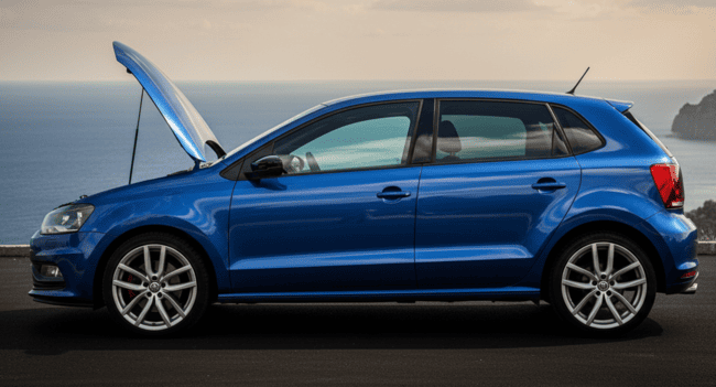 Probleme mit dem EGR-Ventil des VW Polo 6R