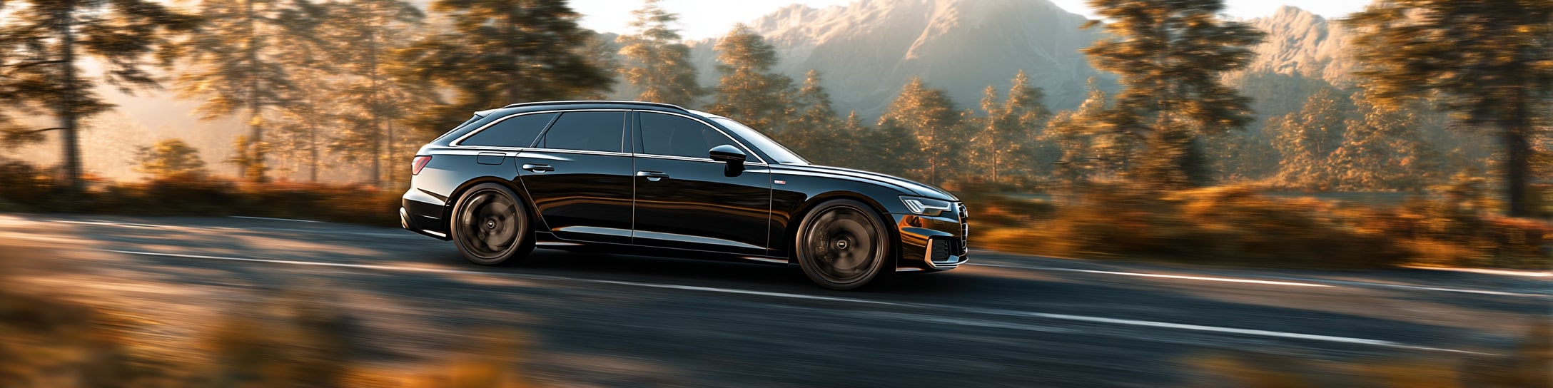 Audi A6 C6 Avant motorer
