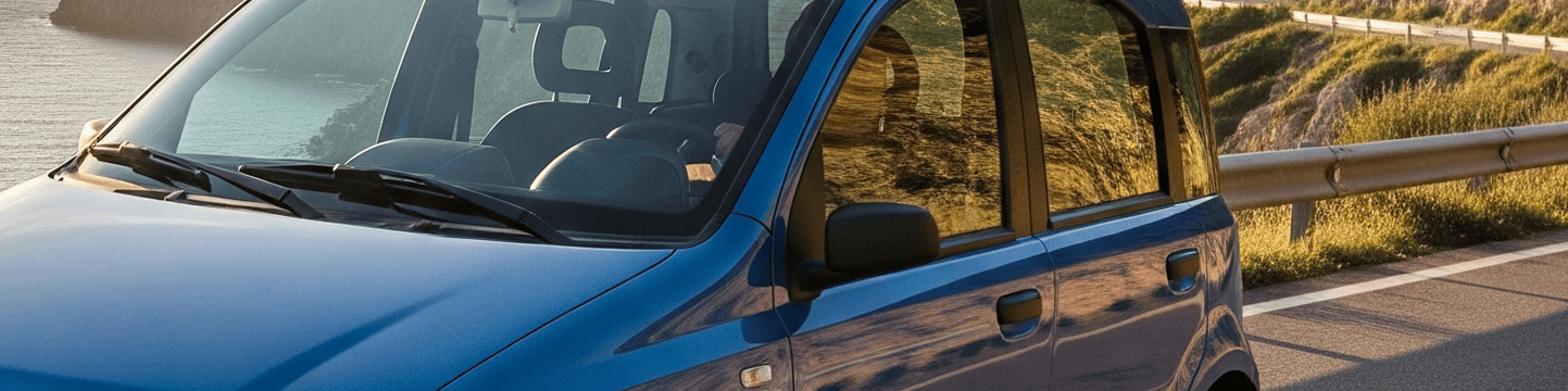 Problemi con i regolatori dei finestrini della FIAT Panda 169: guida completa ai meccanismi di sollevamento difettosi e ai guasti dei cavi