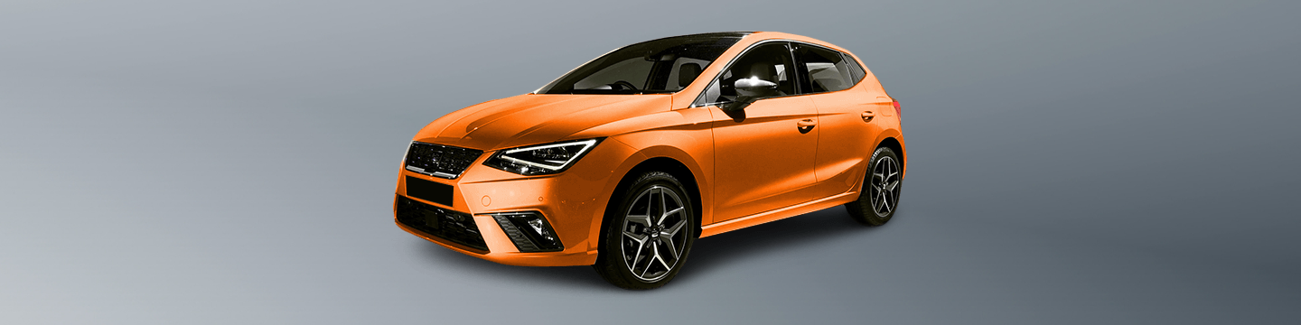 Motori della Seat Ibiza 6L1