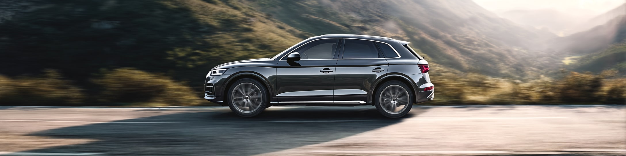 Motori di Audi Q5 8R