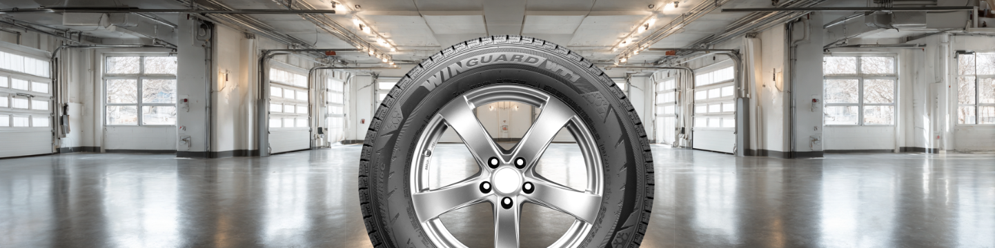 Nexen Winguard WT1 test