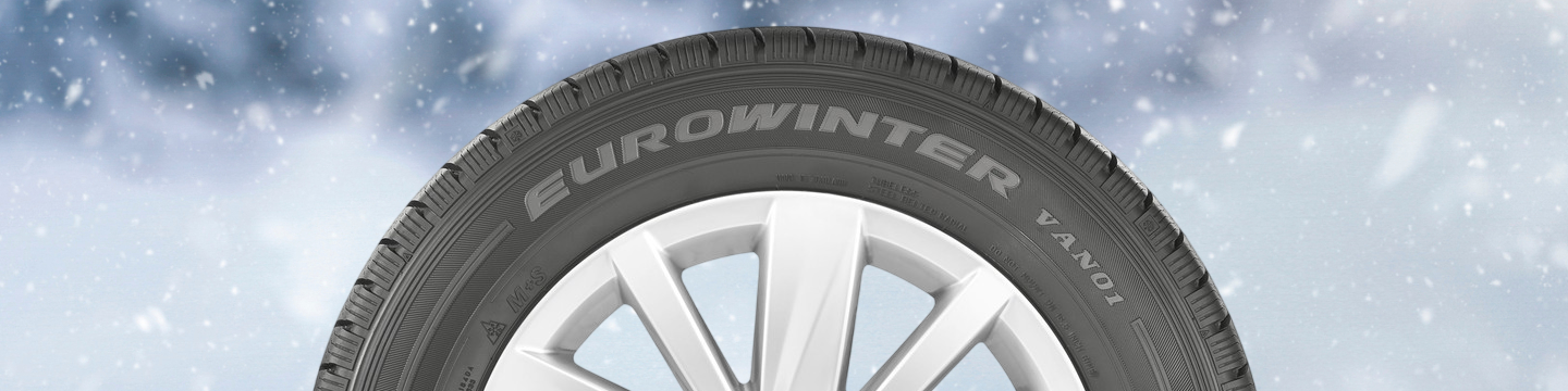 Falken Eurowinter Van01 Test