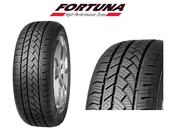 Fortuna EcoPlus 4S: Recensioni