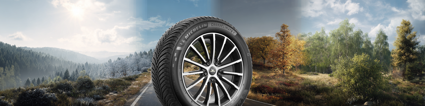 Michelin CrossClimate: Opiniones