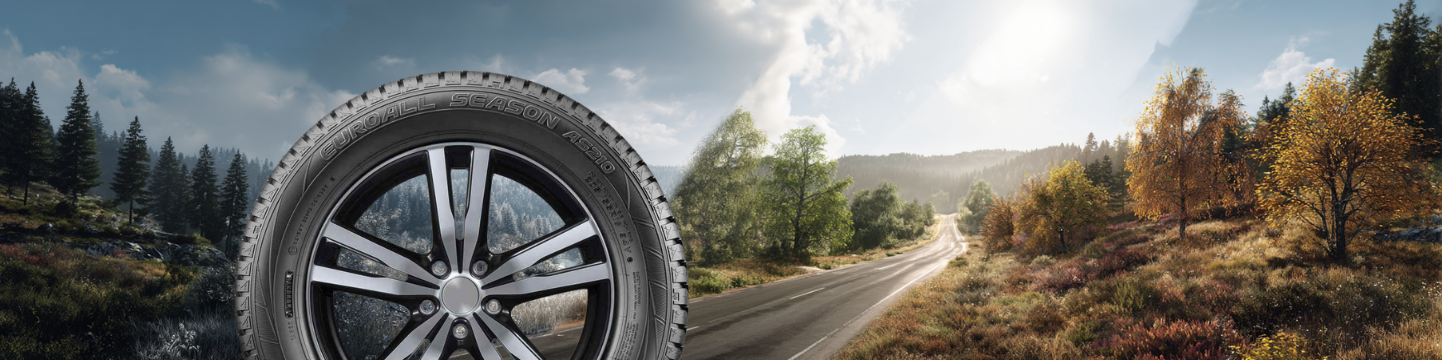 Falken EUROALL SEASON AS210 Test