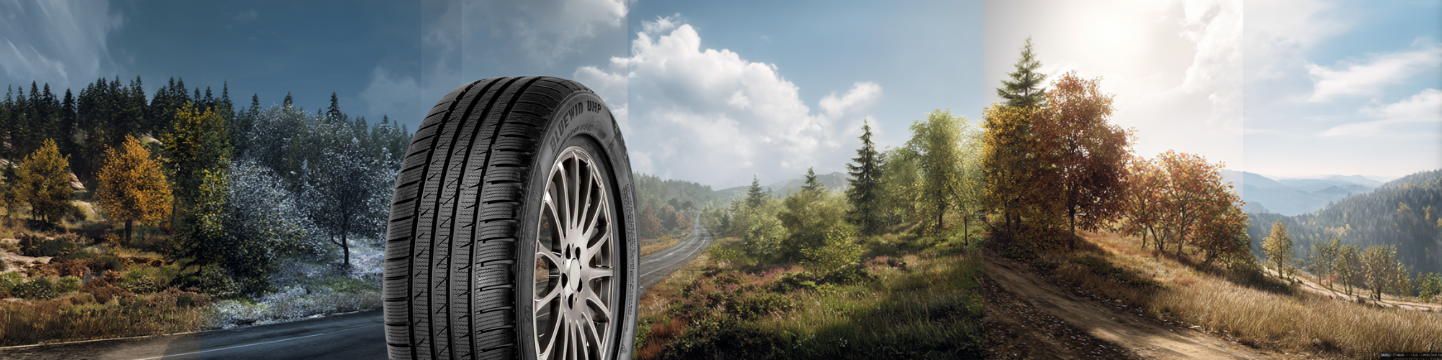 Fortuna EcoPlus 4S: Avis