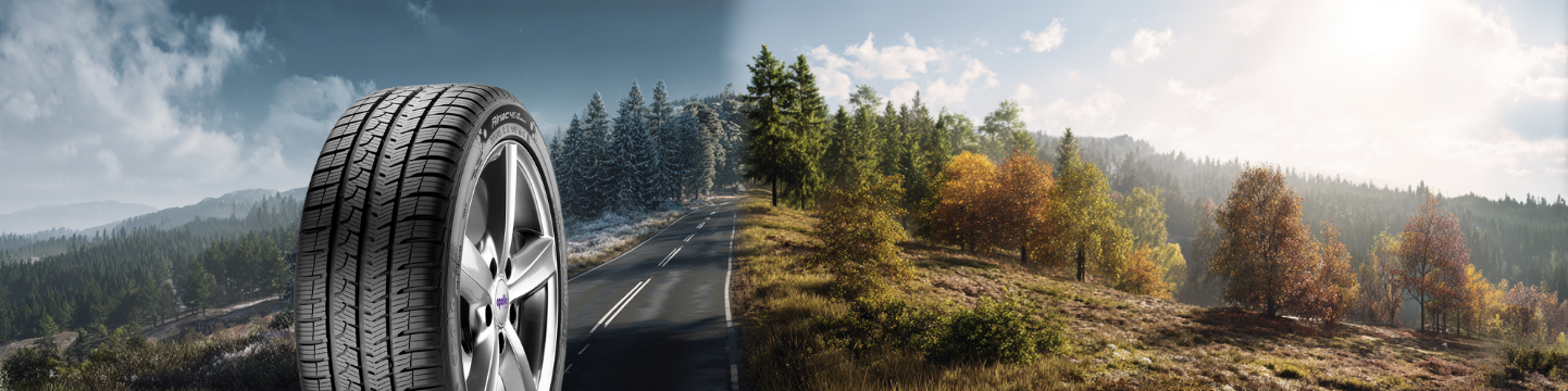 Apollo Alnac 4G All Season: Avis