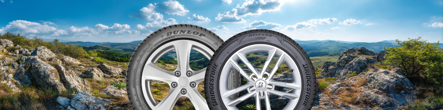 Dunlop Winter Sport 5 έναντι Bridgestone Blizzak LM005