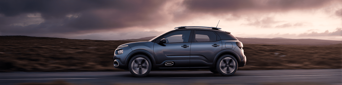 Citroën C4 Cactus: problemas populares e opiniões