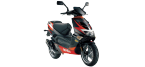 Maxi-scooter APRILIA SR Canna cilindro - Kit catalogo