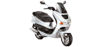Motocicleta PEUGEOT ELYSEO Piezas del motor de arranque catálogo