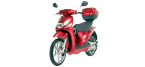 Motocicleta Filtro de aire PEUGEOT LOOXOR