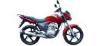 PLATINUM KUBA MOTOR Motorradteile 
 zum günstigen Preis