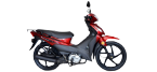 RAINBOW KUBA MOTOR Motorradteile 
 günstig online
