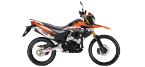 DSR UM Roller & Moped Ersatzteile 
 zum günstigen Preis