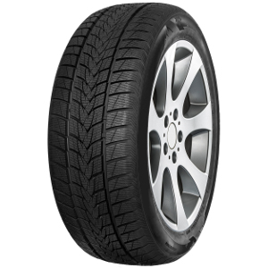 Tristar SNOWPOWER UHP TU069905 AUDI Dekk 255/30 R19 pris