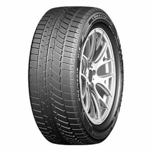 Fortune FSR901 Zimní pneumatiky Opel MONTEREY