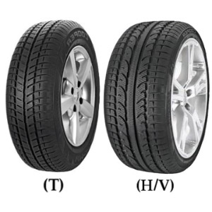 Weather-master SA2 + MPN:5360210 Dekk Cooper 225/55 R17 97H pris
