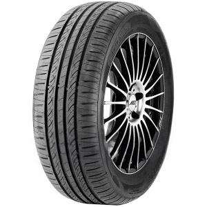 ECOSIS MPN:221012552 Dekk Infinity 195/65 R15 91T pris