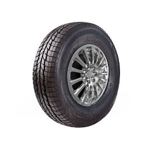 PowerTrac SnowTour PO229H1 LEXUS Dekk 205/55 R16 pris