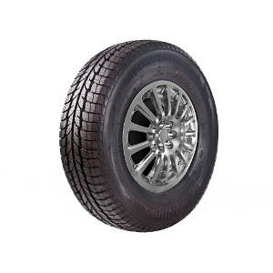 PowerTrac SnowTour PO463H1 VW Dekk 155/65 R14 pris